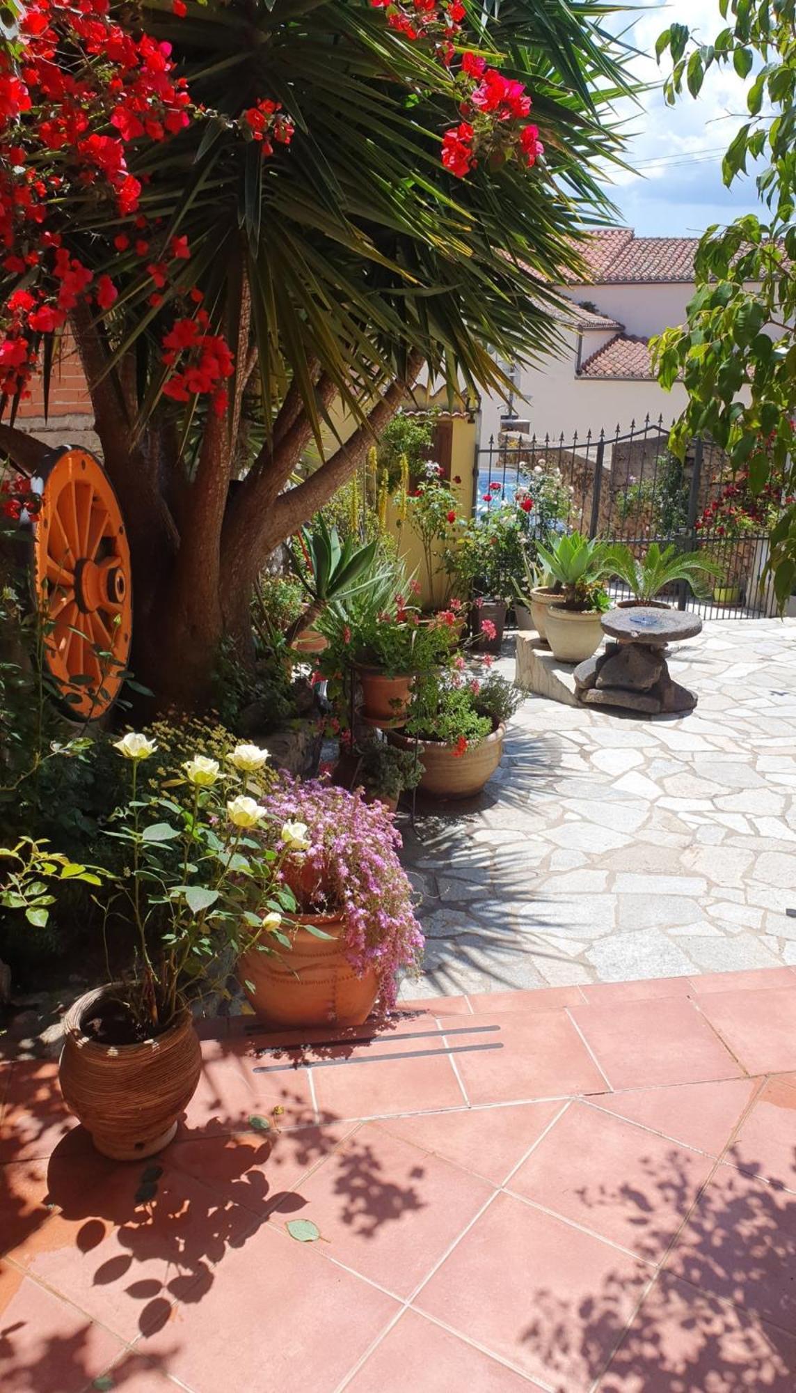 Bed and Breakfast Su Carreri Armungia Екстер'єр фото