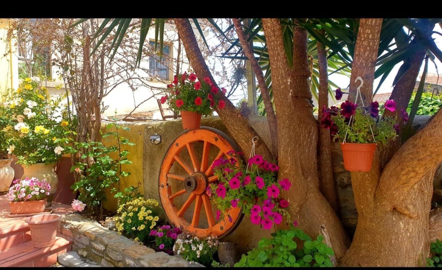 Bed and Breakfast Su Carreri Armungia Екстер'єр фото